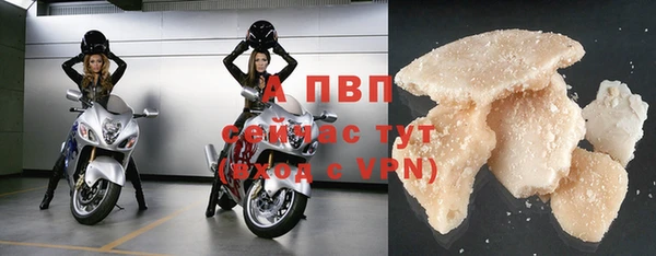мяу мяу мука Абаза