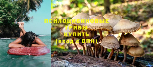 кокс Абинск