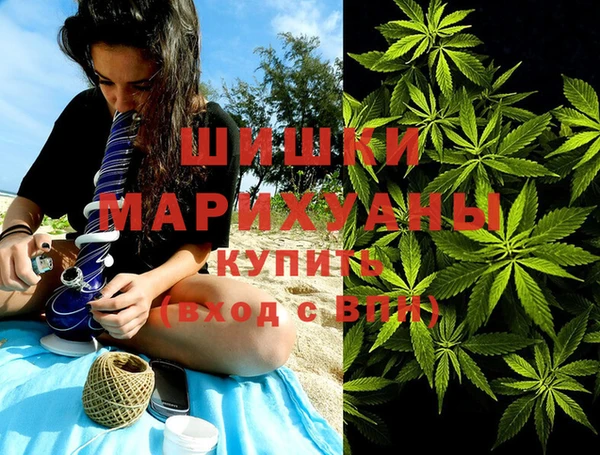 мяу мяу мука Абаза