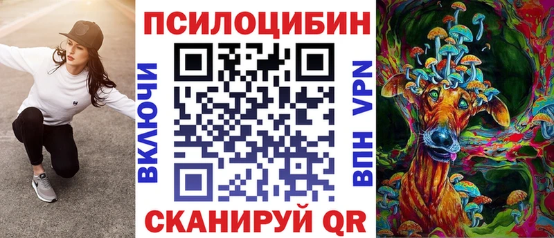 купить Алагир Псилоцибиновые грибы Psilocybe